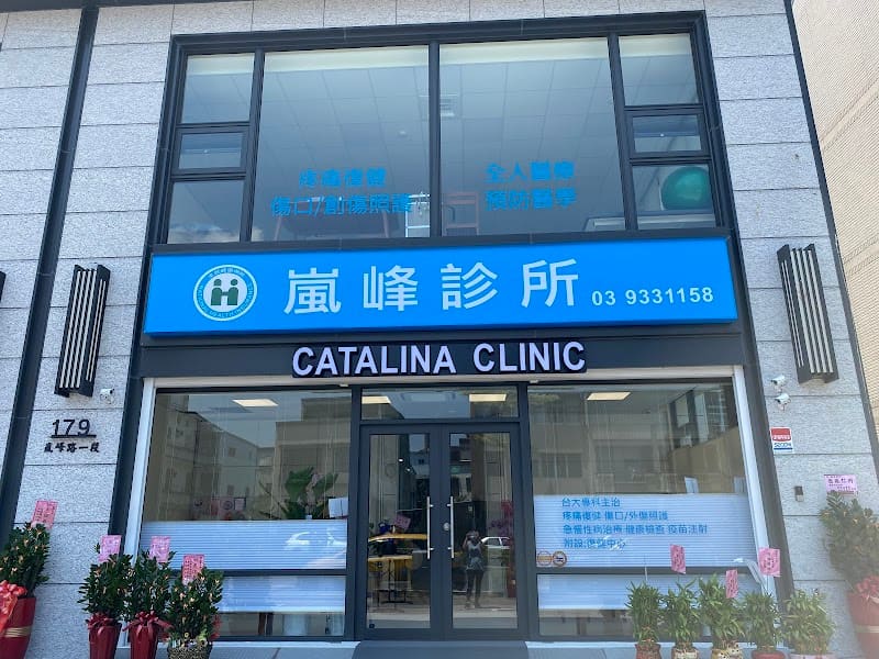 嵐峰診所(門診及復健時間以臉書FB為主,只接受現場掛號,人數過多會提早停止掛號)